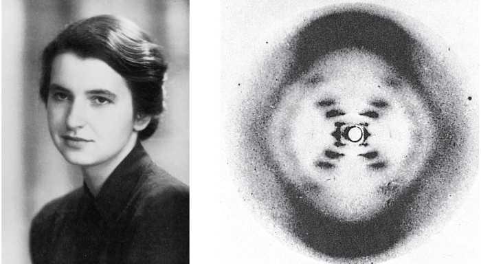 Dr Rosalind Franklin, infamously known as the Dark Lady of DNA, and the X-ray diffraction Photo 51. – http://bio1151.nicerweb.com pic, July 8, 2015.