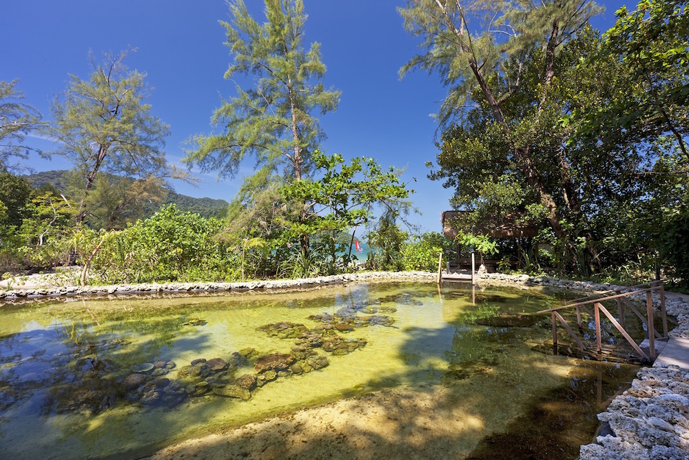 Pembibitan karang Andaman Resort Langkawi menyediakan tempat yang aman bagi karang untuk tumbuh kembali dan direhabilitasi.  – Foto milik Starwood, 8 Maret 2016.