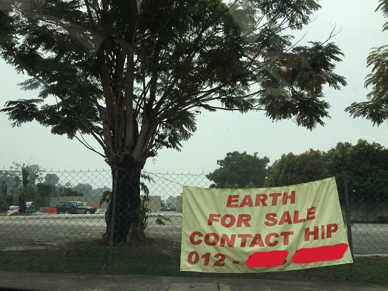 The picture taken by the writer’s daughter which reads ‘Earth for sale’. – December 31, 2015.