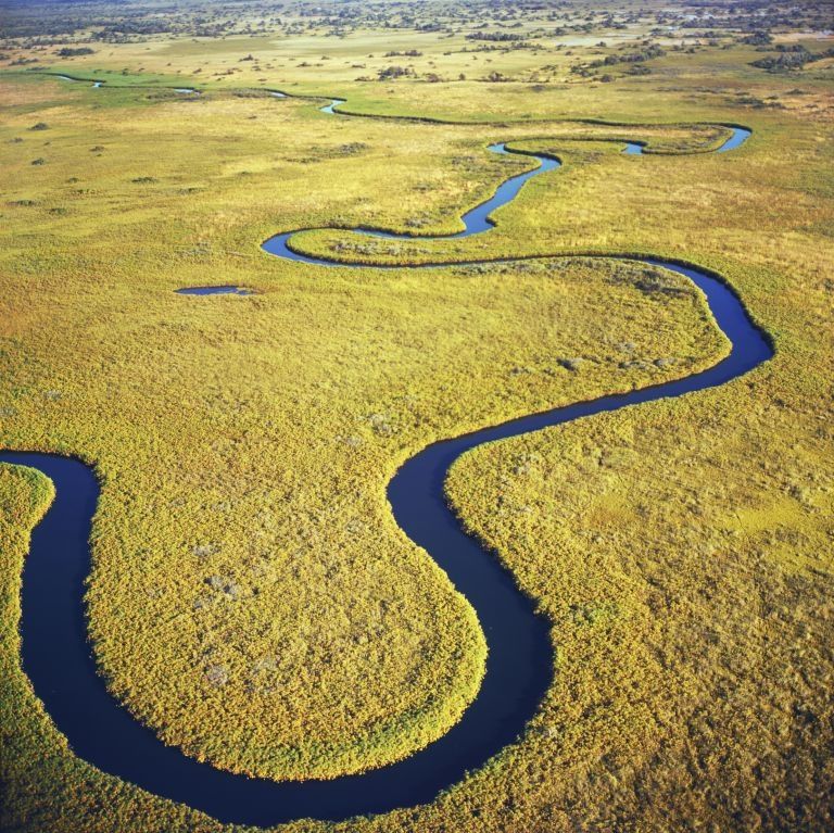The Okavango Delta is an unmissable sight for visitors to Botswana. – AFP pic, February 8, 2016.