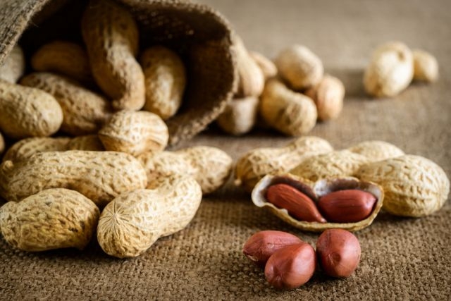 Makan kacang membantu bayi menghindari alergi, kata penelitian