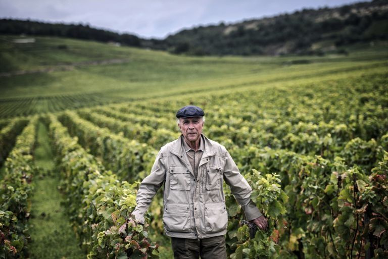 French winemaker Aubert de Villaine’s Burgundy vineyards get onto the Unesco World Heritage list. – AFP/Relaxnews pic, January 12, 2016.